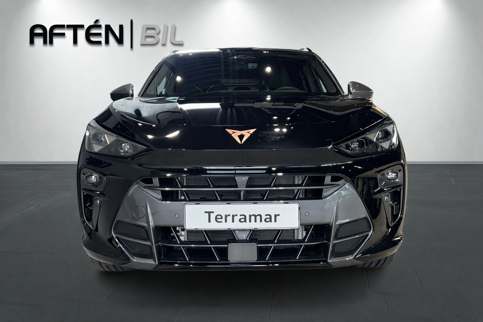 Cupra Terramar 1.5 e-HYBRID 204 2026, bild 2/61