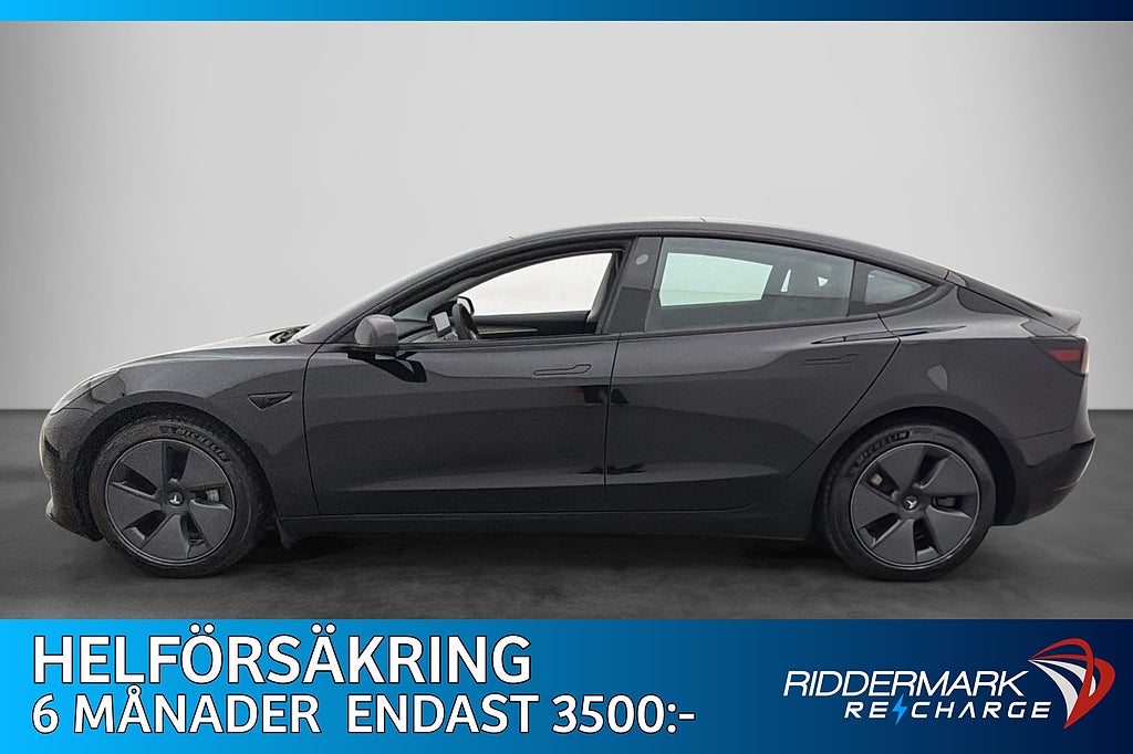 Tesla Model 3 Standard Range Pano B-Kamera Navi AP Moms