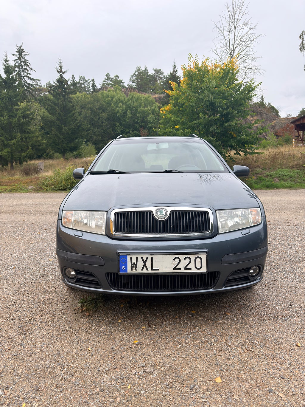 Skoda Fabia Kombi 1.2 Euro 4