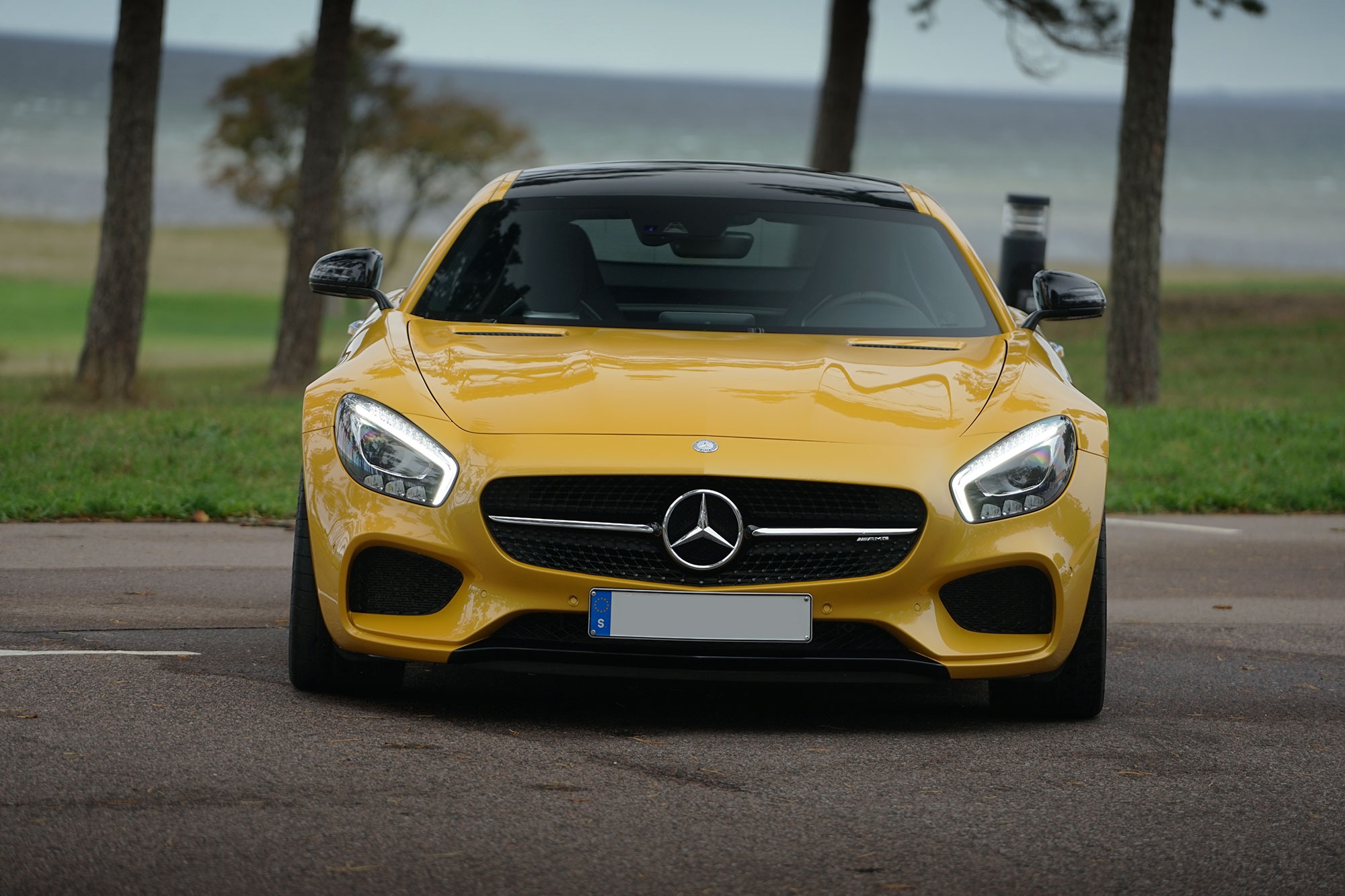 Mercedes-Benz AMG GT 2015, bild 4/10