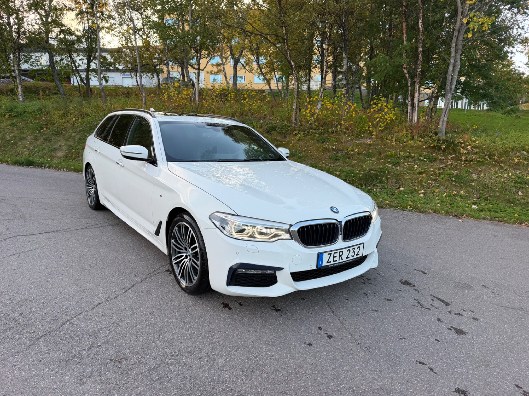 BMW 530 2018, bild 2/10