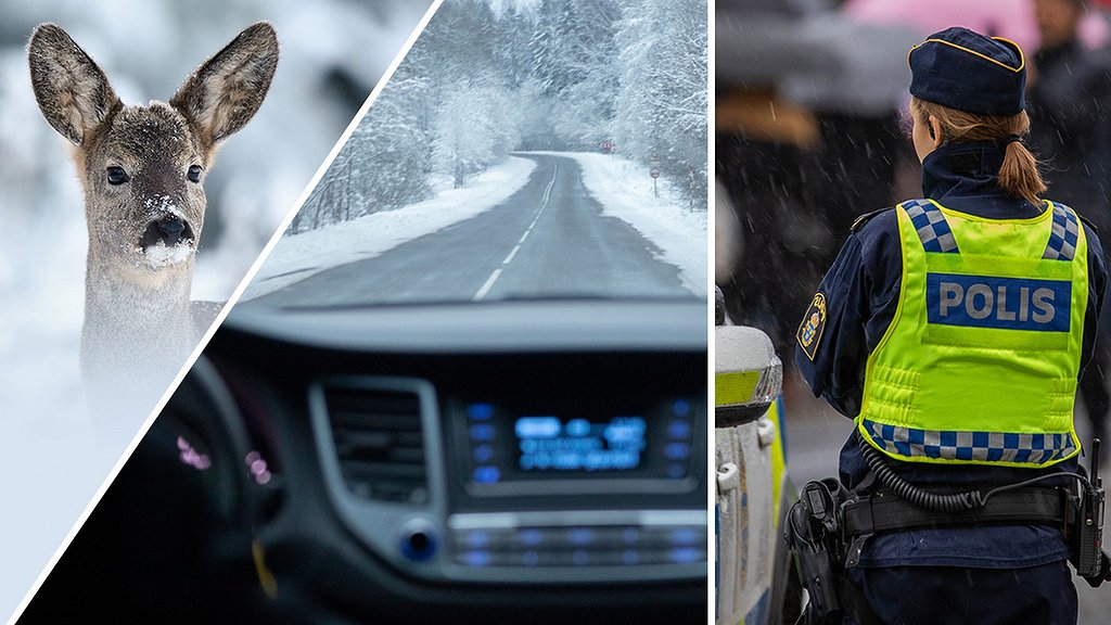 Varje år sker det många viltoyckor i sverige. Foto: Cloudberry