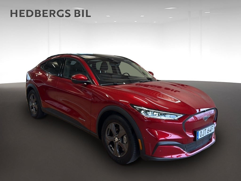 Ford Mustang Mach-E Standard Range RWD