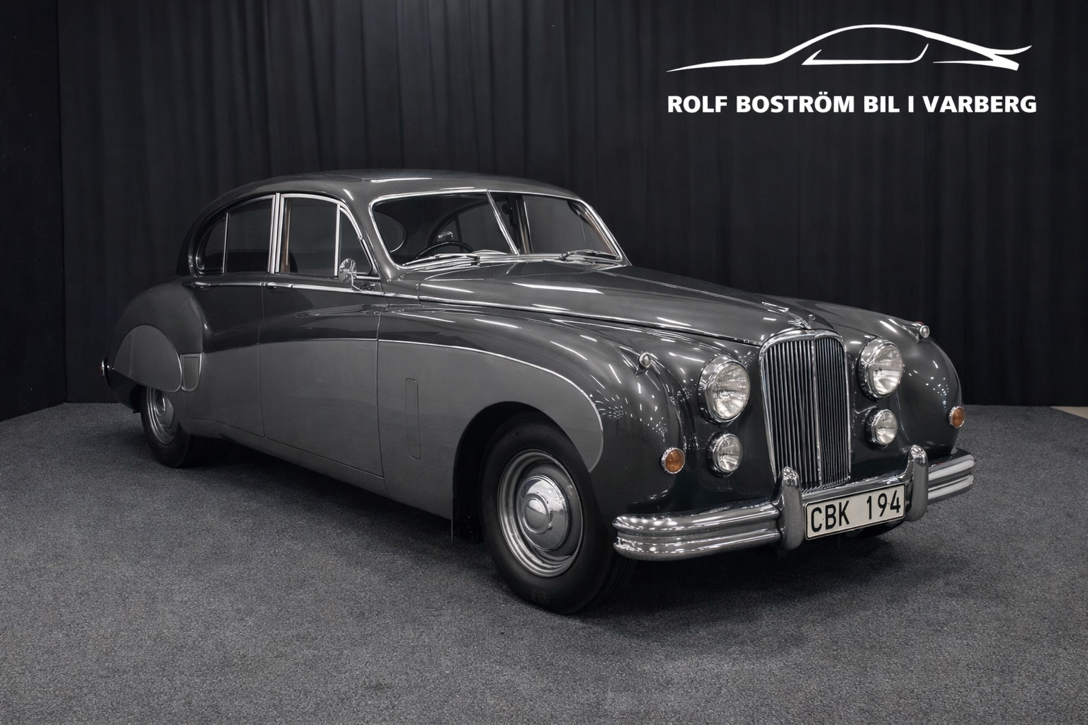 Jaguar Mark