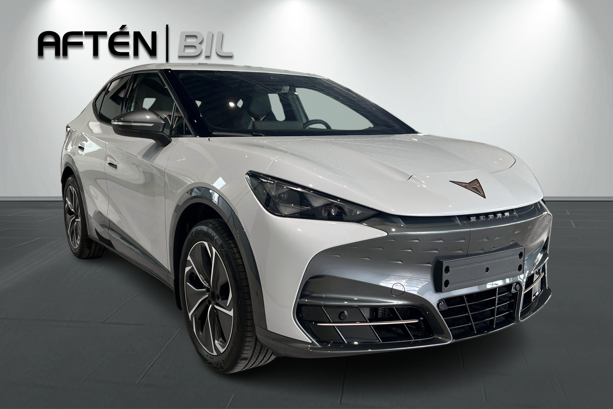 Cupra Tavascan 2025, bild 4/50