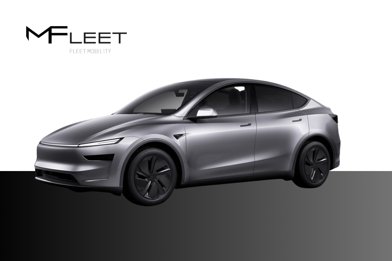 Tesla Model Y Performance AWD fr 2026, bild 6/10