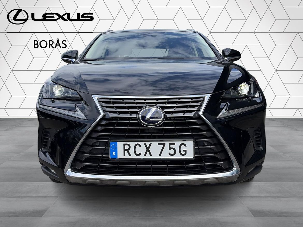 Lexus NX 300h AWD Executive 2020, photo 7/58