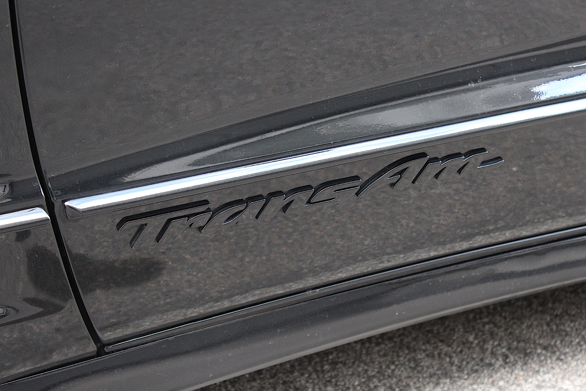 Pontiac Firebird 1998, bild 6/42