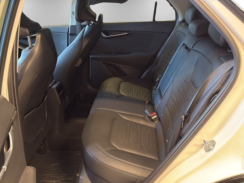 Kia Niro Plug-In-Hybrid DCT Advance