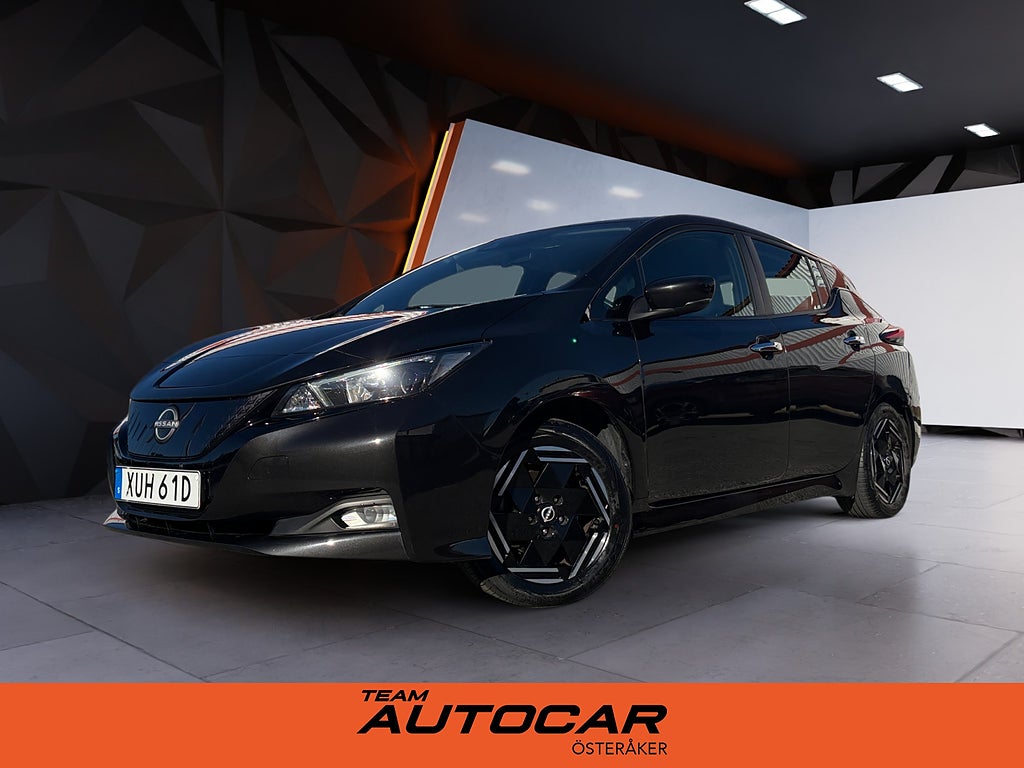 Nissan Leaf Acenta Backkamera AppleCarplay 