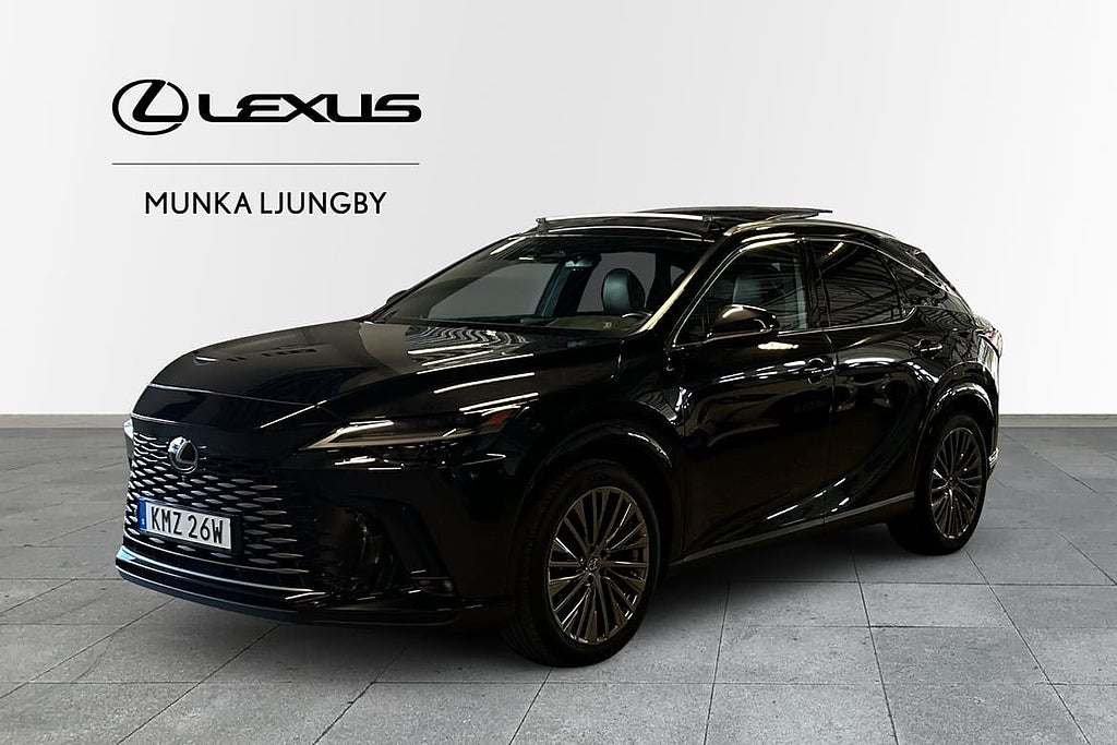 Lexus RX450H + Luxury ML Panoramatak