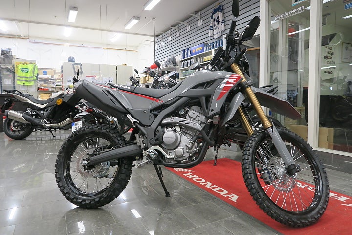 Honda CRF300L-26 Grå 