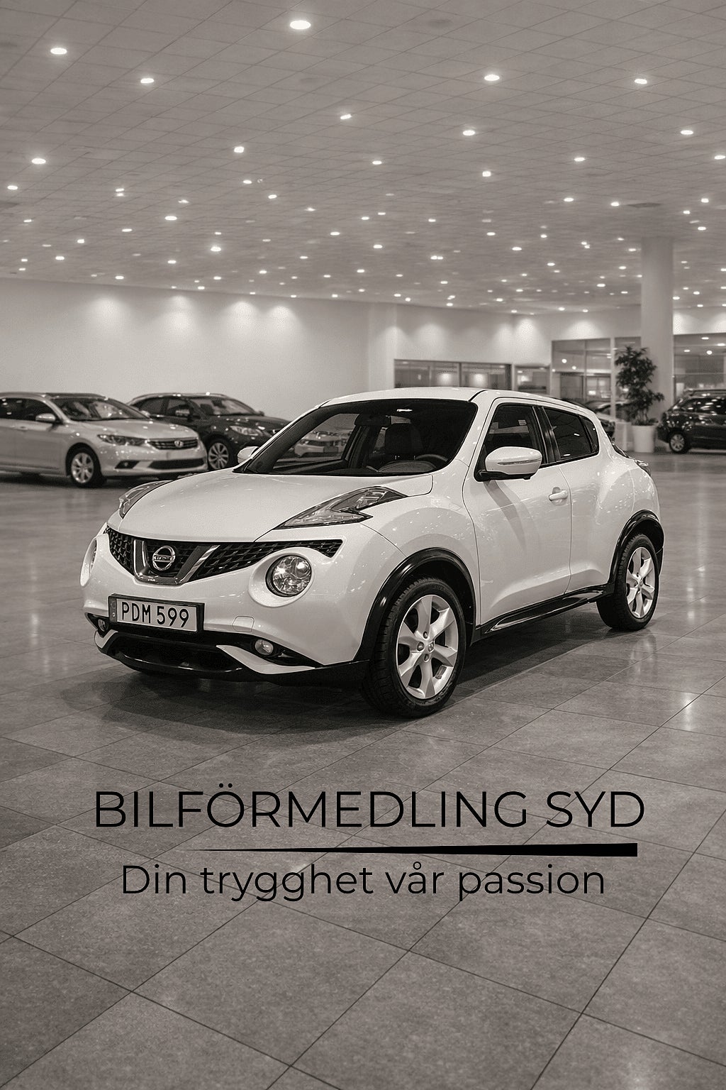 Nissan Juke 1.2 DIG-T Euro 6