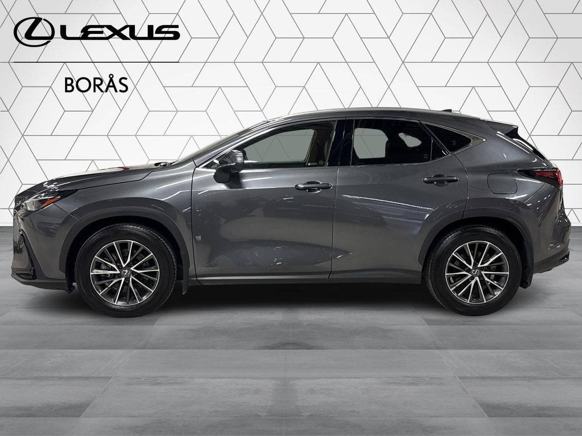 Lexus NX 2023, photo 3/10
