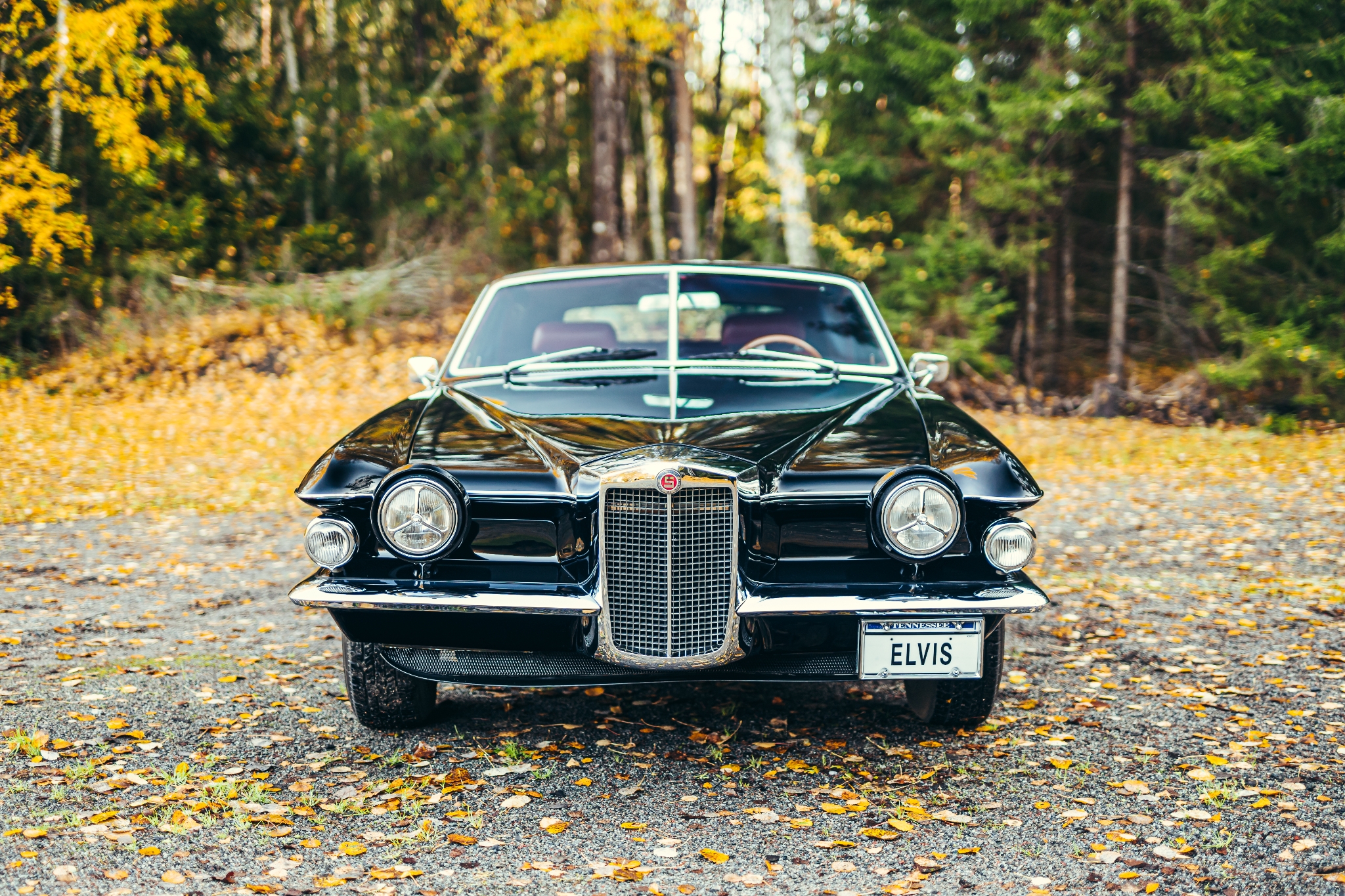 Stutz Blackhawk Elvis favoritbil -71 1971, bild 7/52
