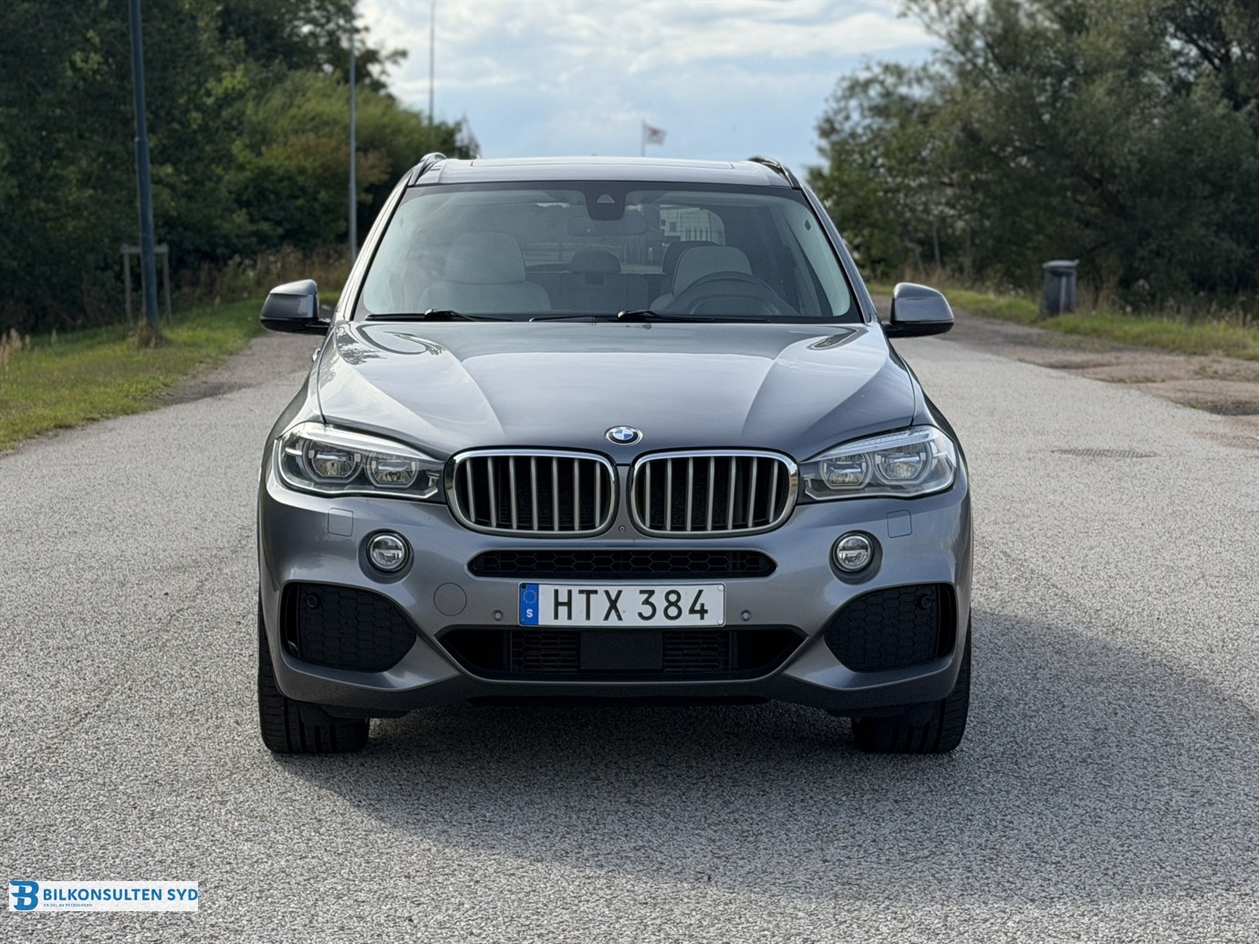 BMW X5 xDrive40d Steptronic 2015, bild 2/56