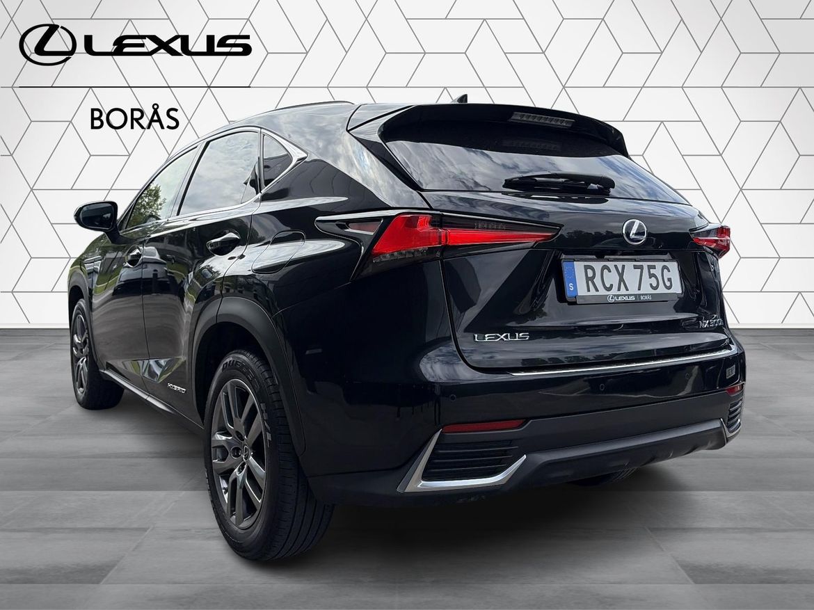 Lexus NX 300h AWD Executive 2020, photo 4/58