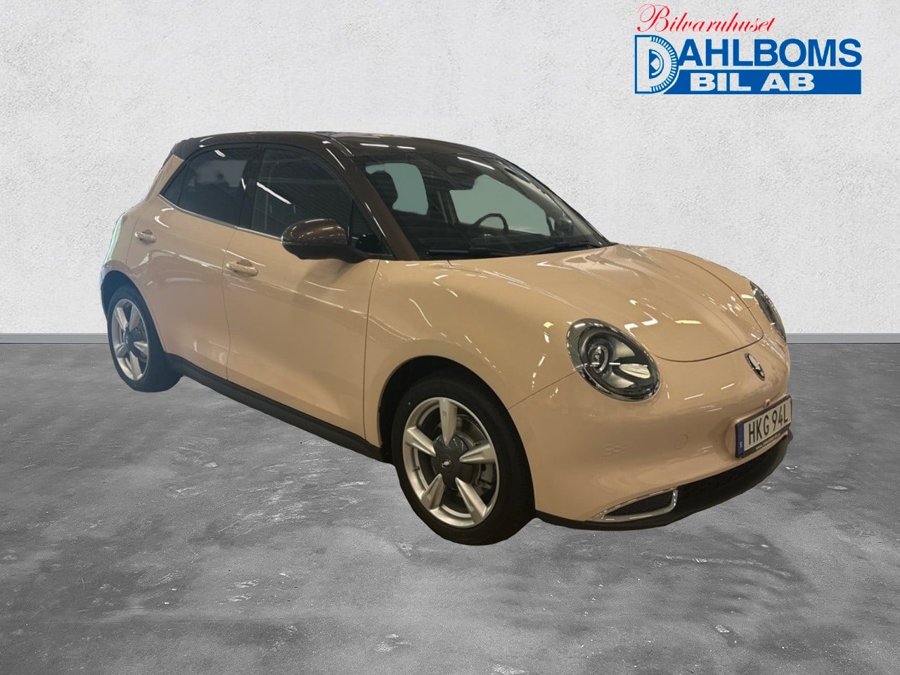 Ora 300 Pro 48Kwh Dubbade vinterhjul 2024, bild 7/46