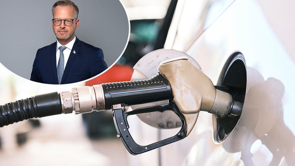 Regeringen har presenterat ett förslag till åtgärdspaket. Foto: Pixabay/Kristian Pohl/Regeringskansliet. 
