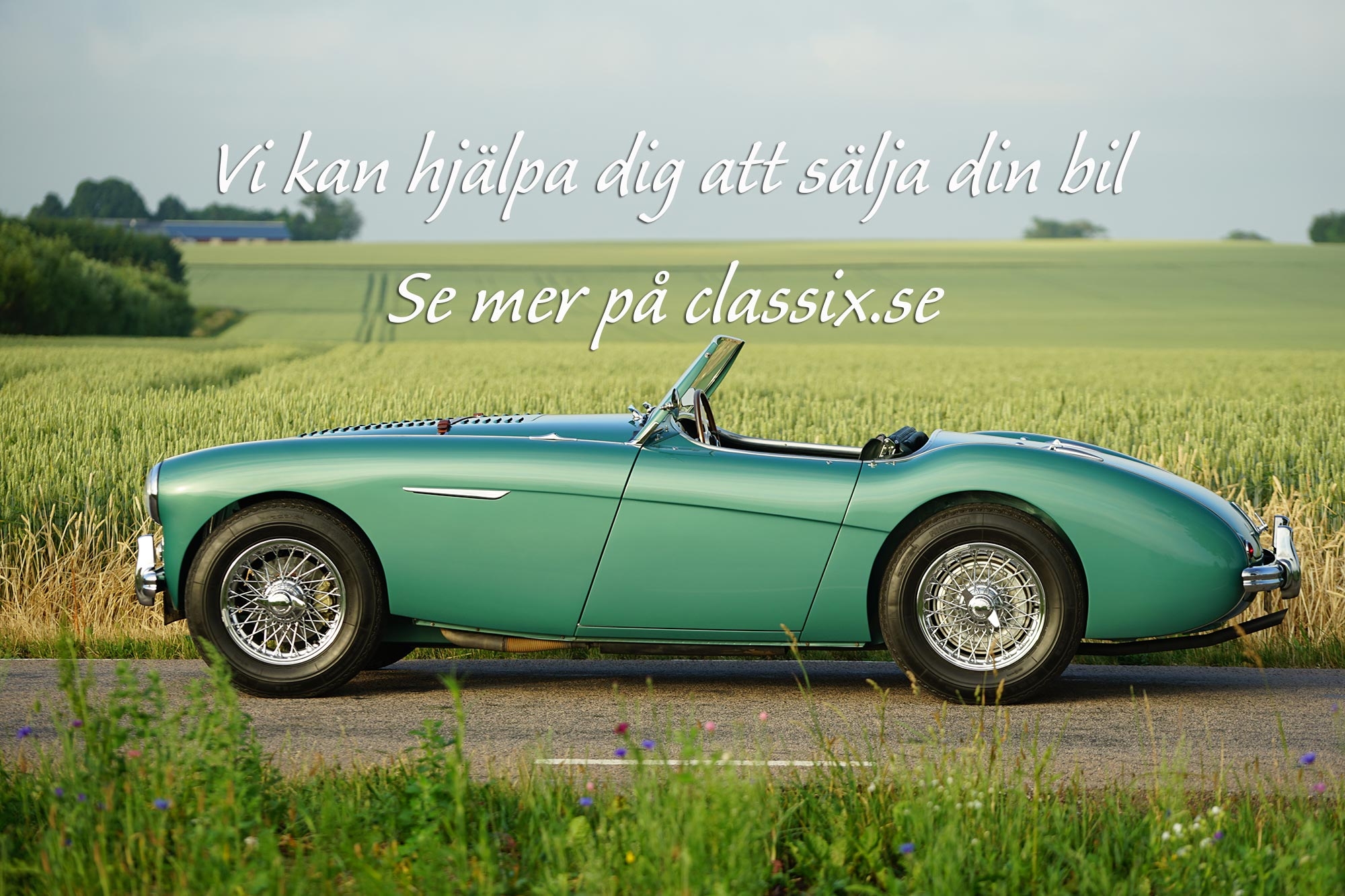 Porsche 911 Targa i toppskick 1971, bild 6/37