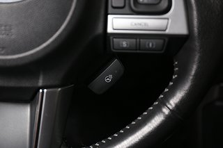 SUV Subaru Forester 16 av 25