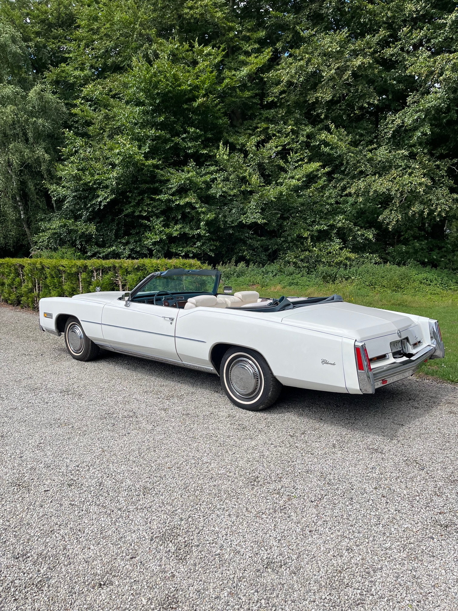 Cadillac Eldorado 1976, bild 2/10