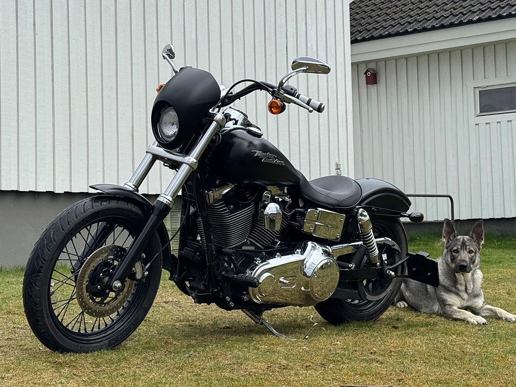 Harley-Davidson Low Rider Dyna FXDL 1.6 Twin Cam 96