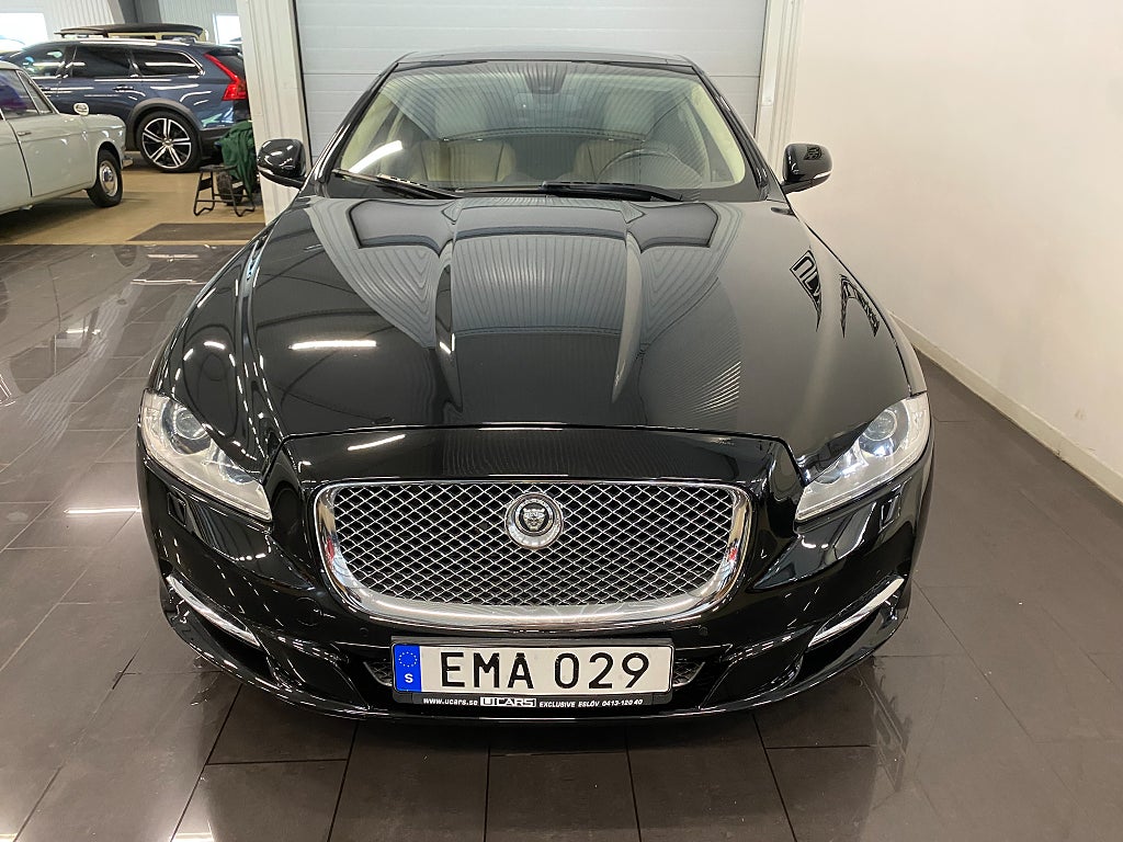 Jaguar XJ 2010 - miniatyr 5