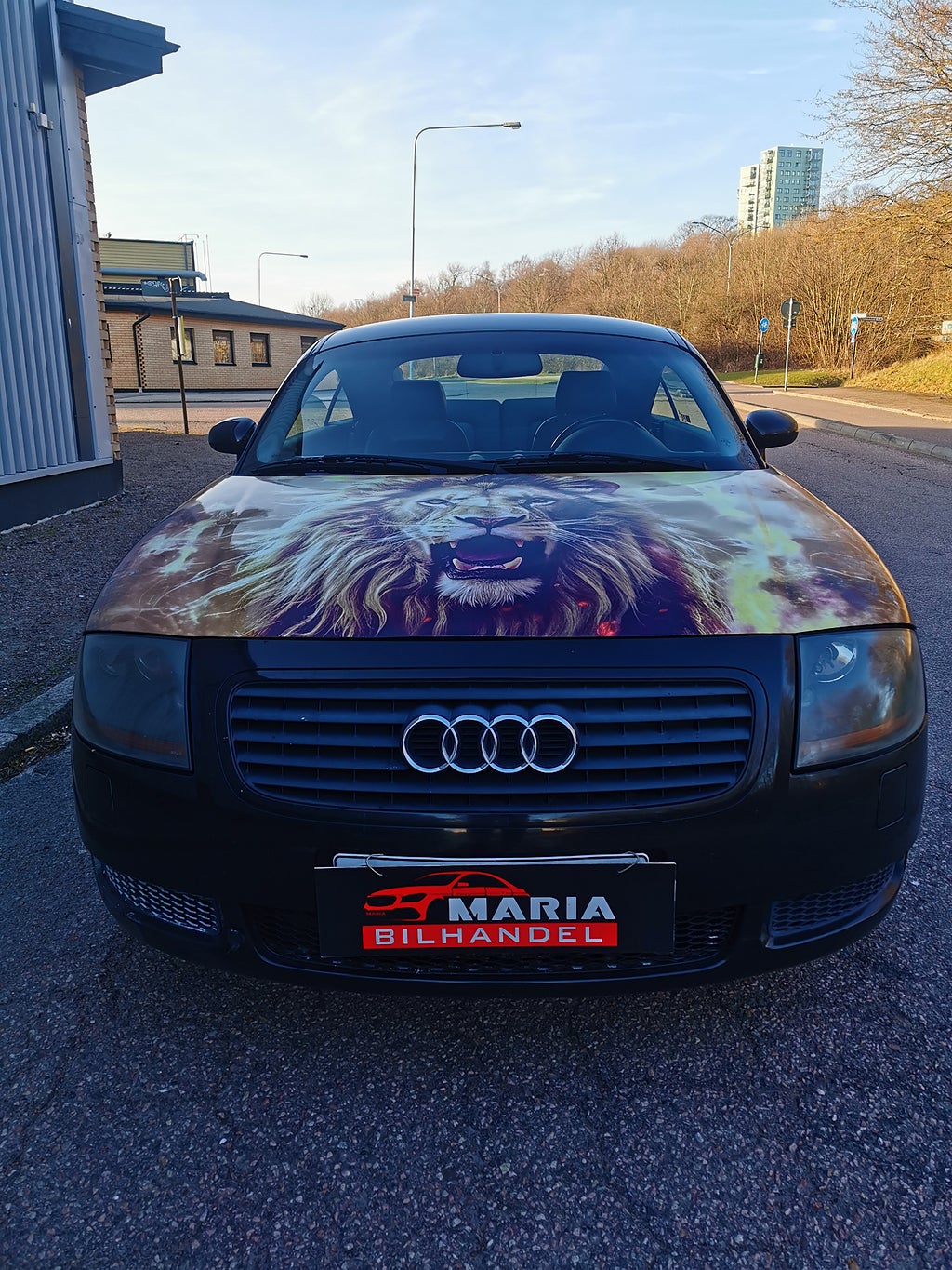 Audi TT Coupé 1.8 T Euro 3