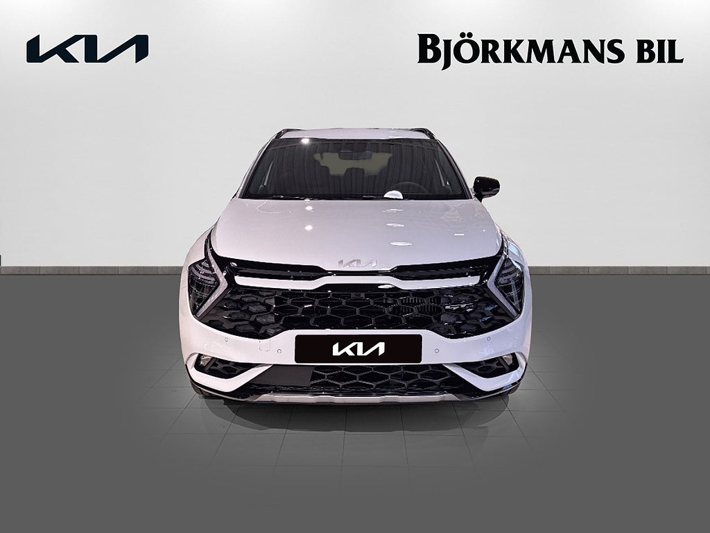 TEG16H