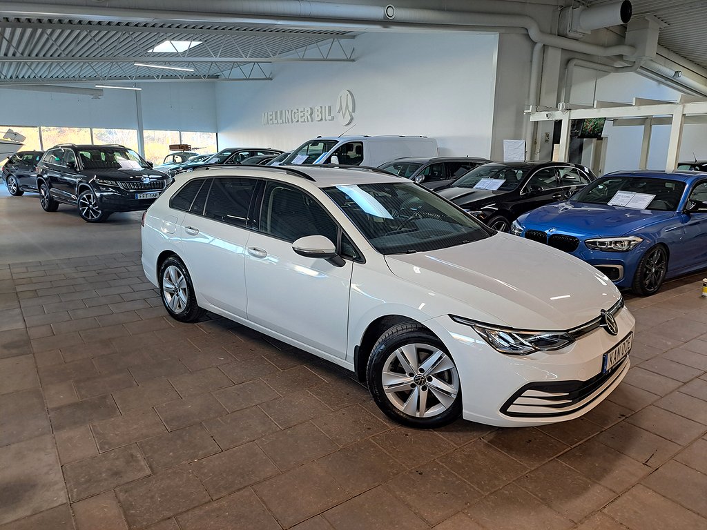 Volkswagen Golf SC 1.5 eTSI DSG Parkv/Drag/ergoActive