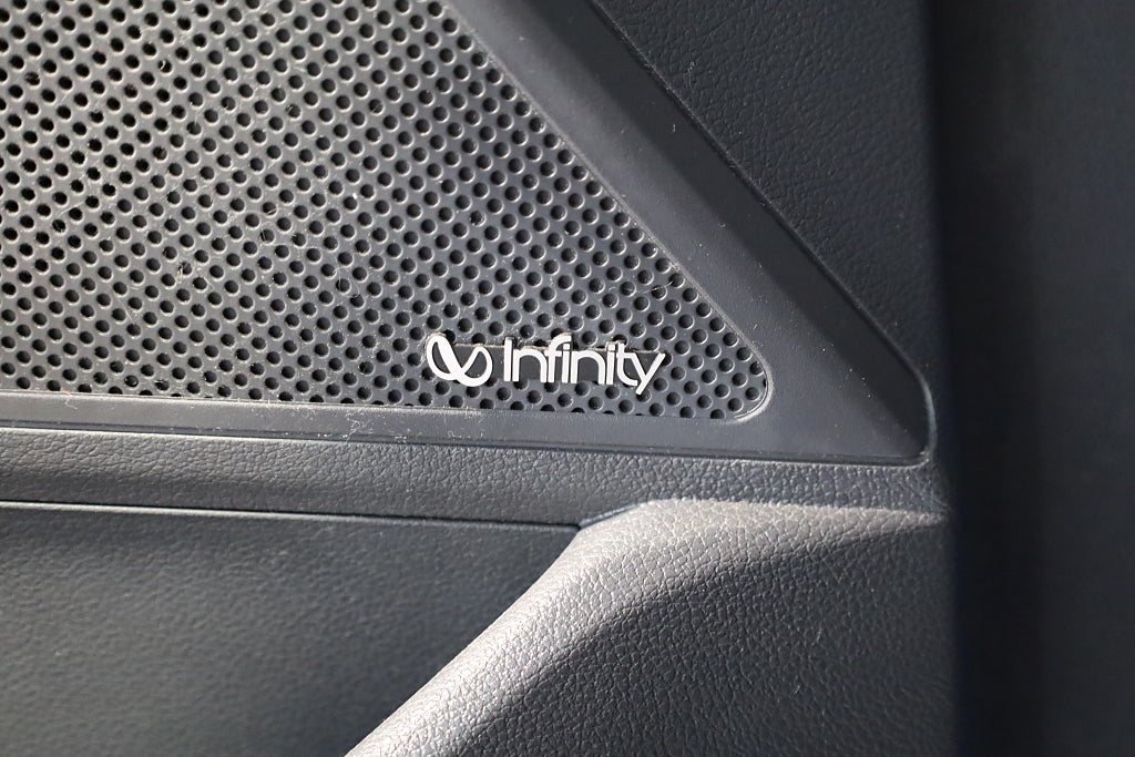 Hyundai IONIQ Electric 28 kWh Premium Navi Kamera Infinity 2017