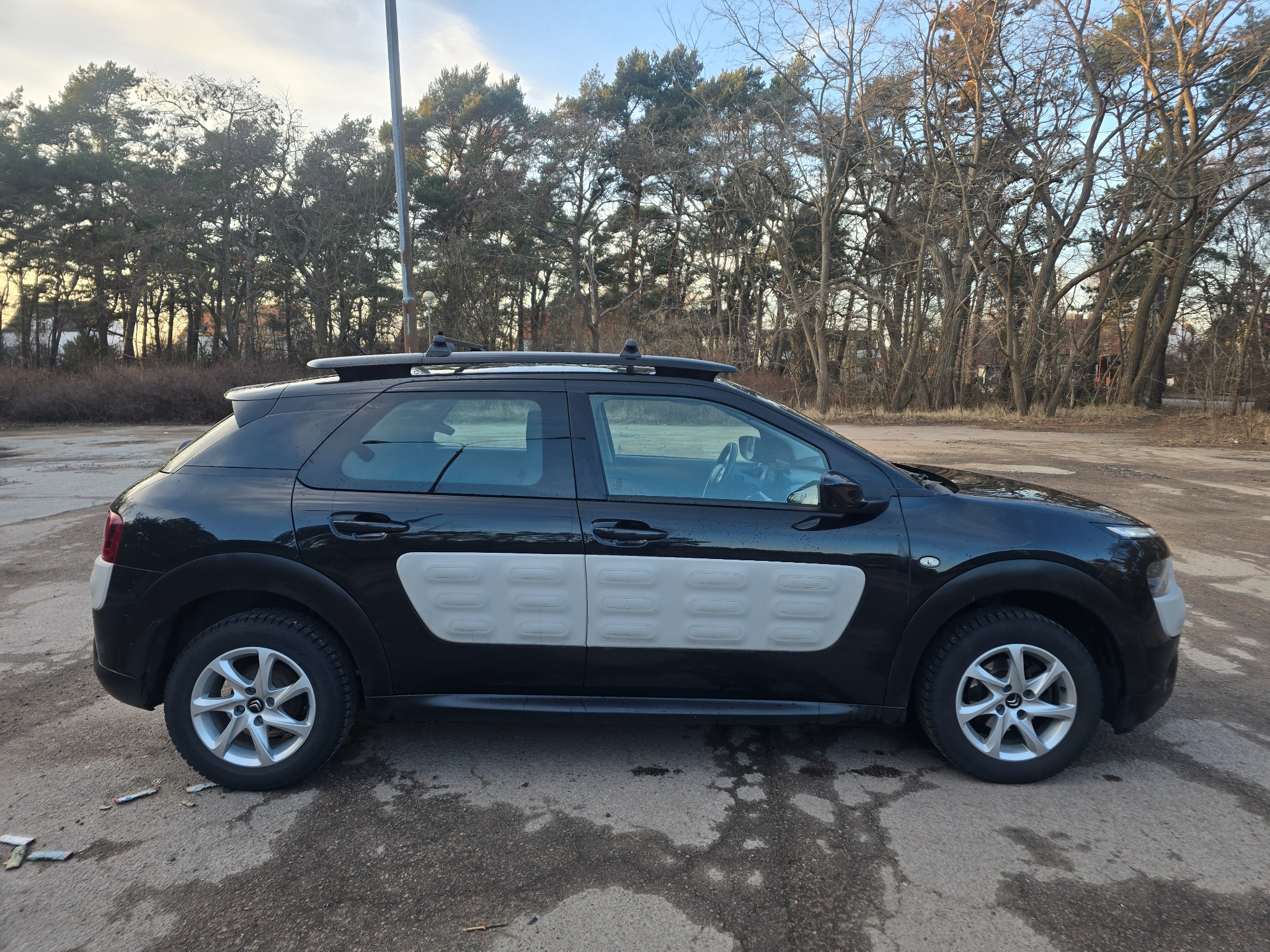 Citroen C4 Cactus 1.2 PureTech Euro 5 2015, bild 6/48