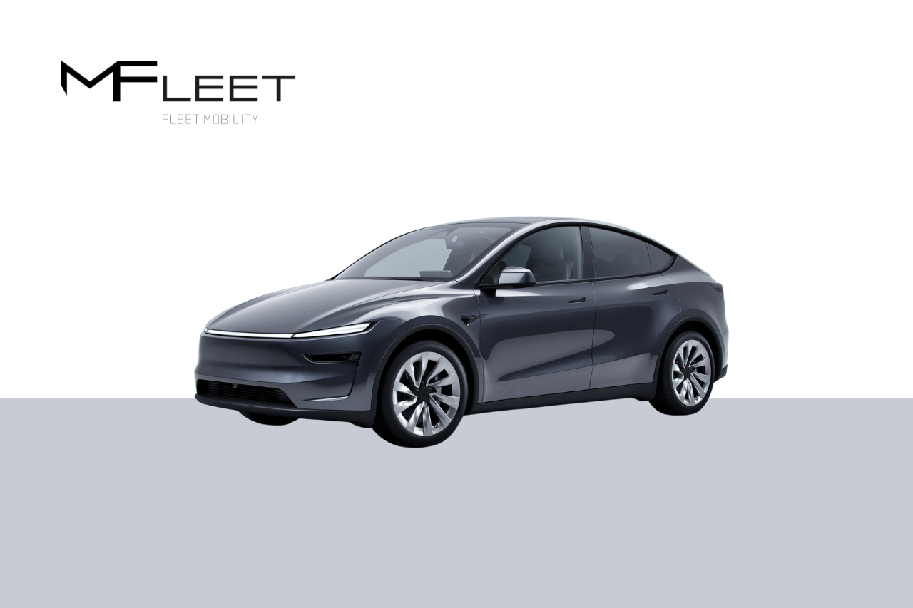 Tesla Model Y Performance AWD fr 2026, bild 4/10