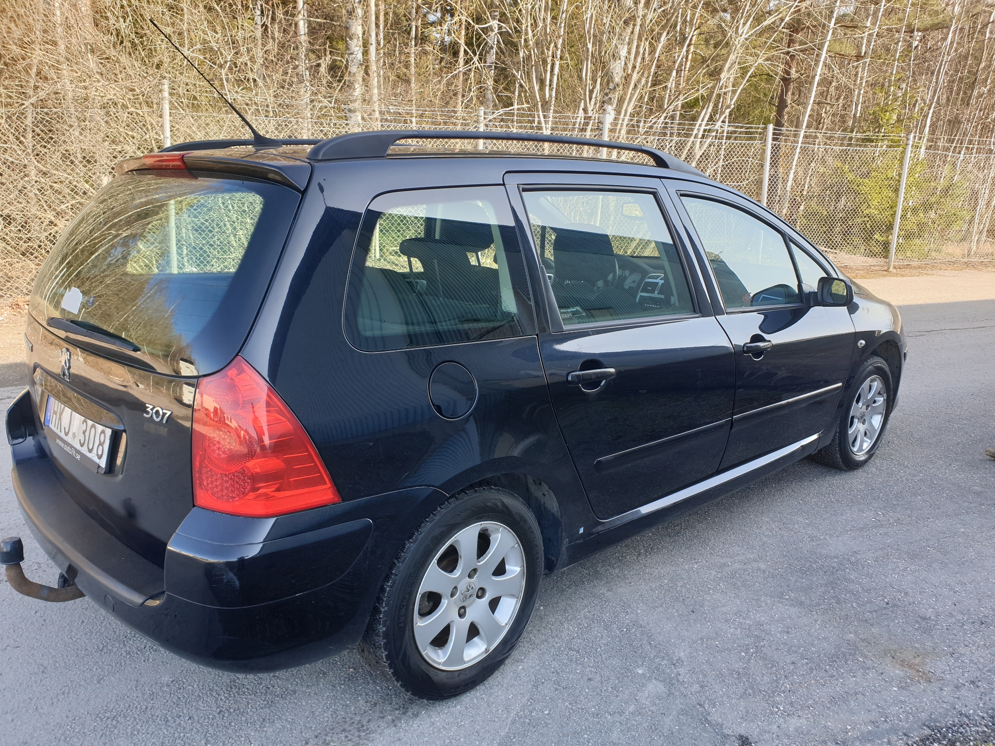 Peugeot 307 Break 1.6 Bioflex 109hk 2008, bild 6/38