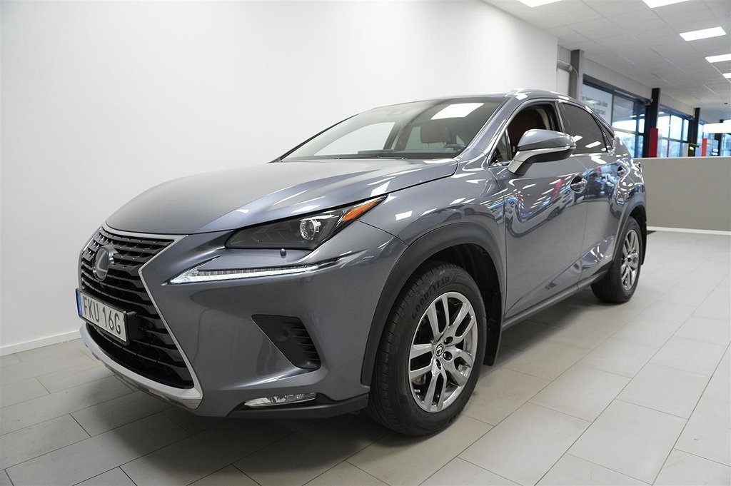 Lexus NX 300h AWD Drag 197hk