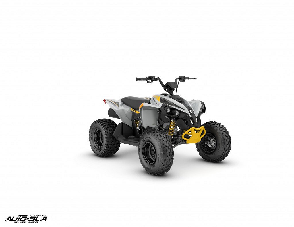 Can-Am Renegade (Demo) STD 110 INT