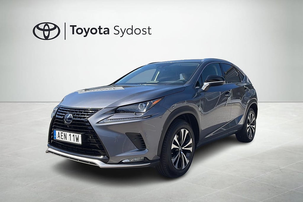 Lexus NX 300h AWD 2.5 Kyushu Edition Drag