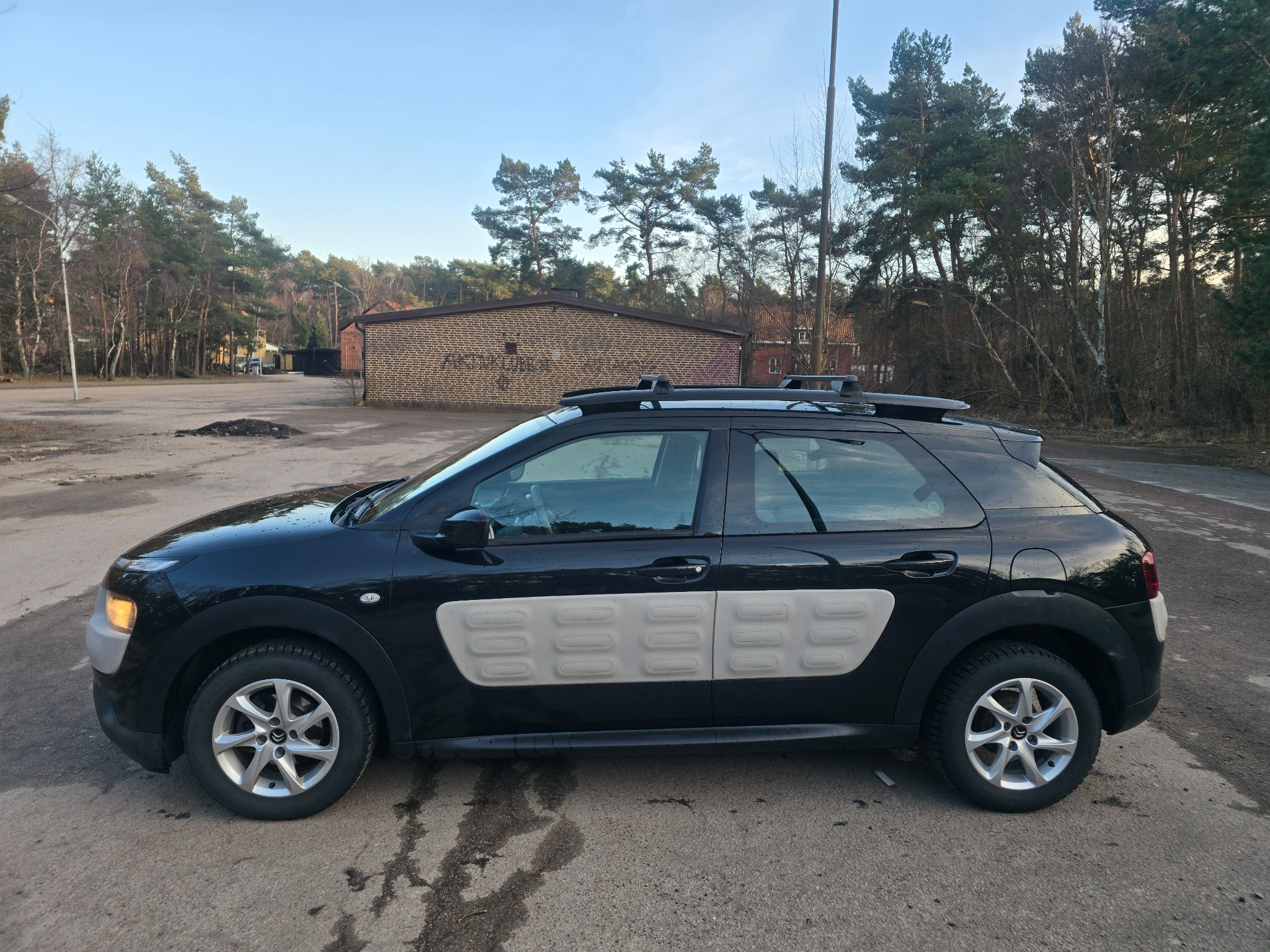Citroen C4 Cactus 1.2 PureTech Euro 5 2015, bild 5/48