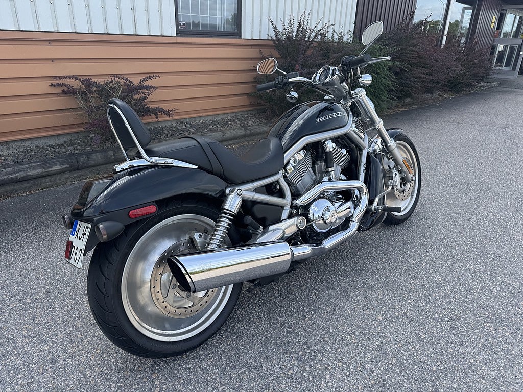 Harley-Davidson VRSCA 2006 - miniatyr 2