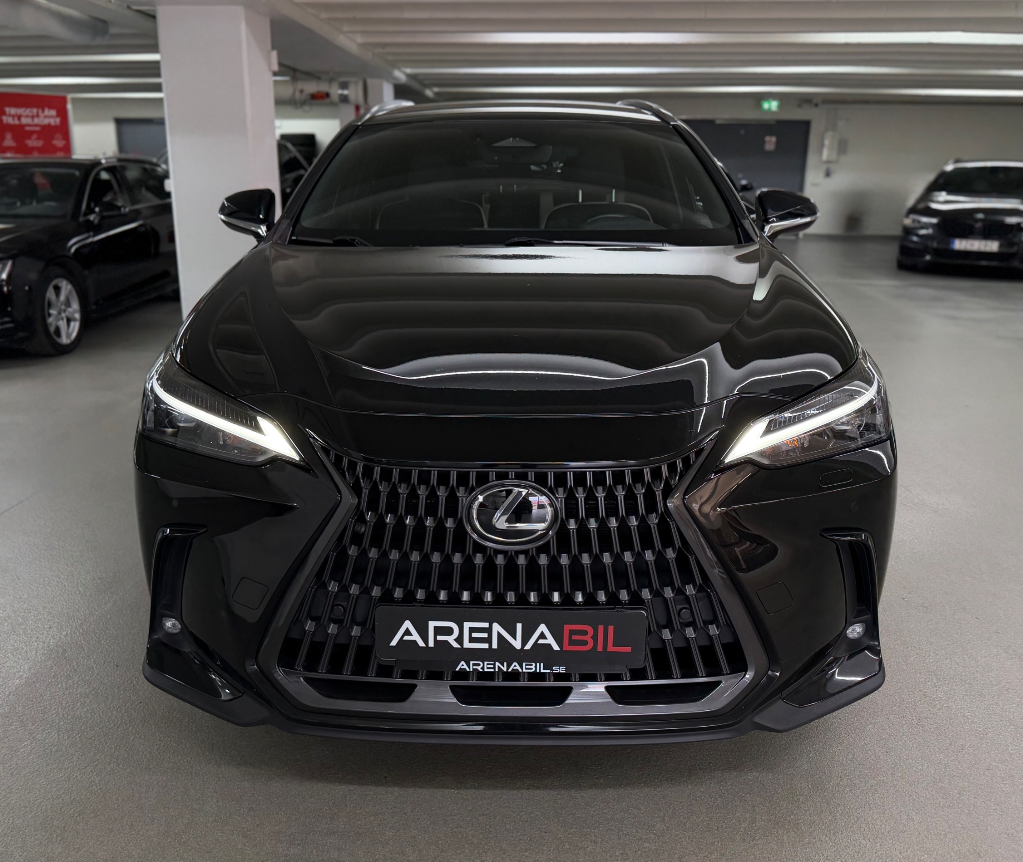Lexus NX 2023, kuva 7/47