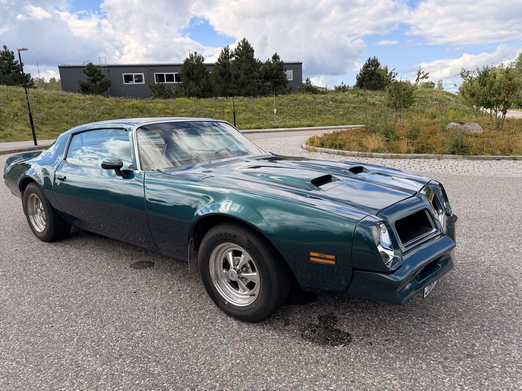 Pontiac Firebird 1976, bild 7/31
