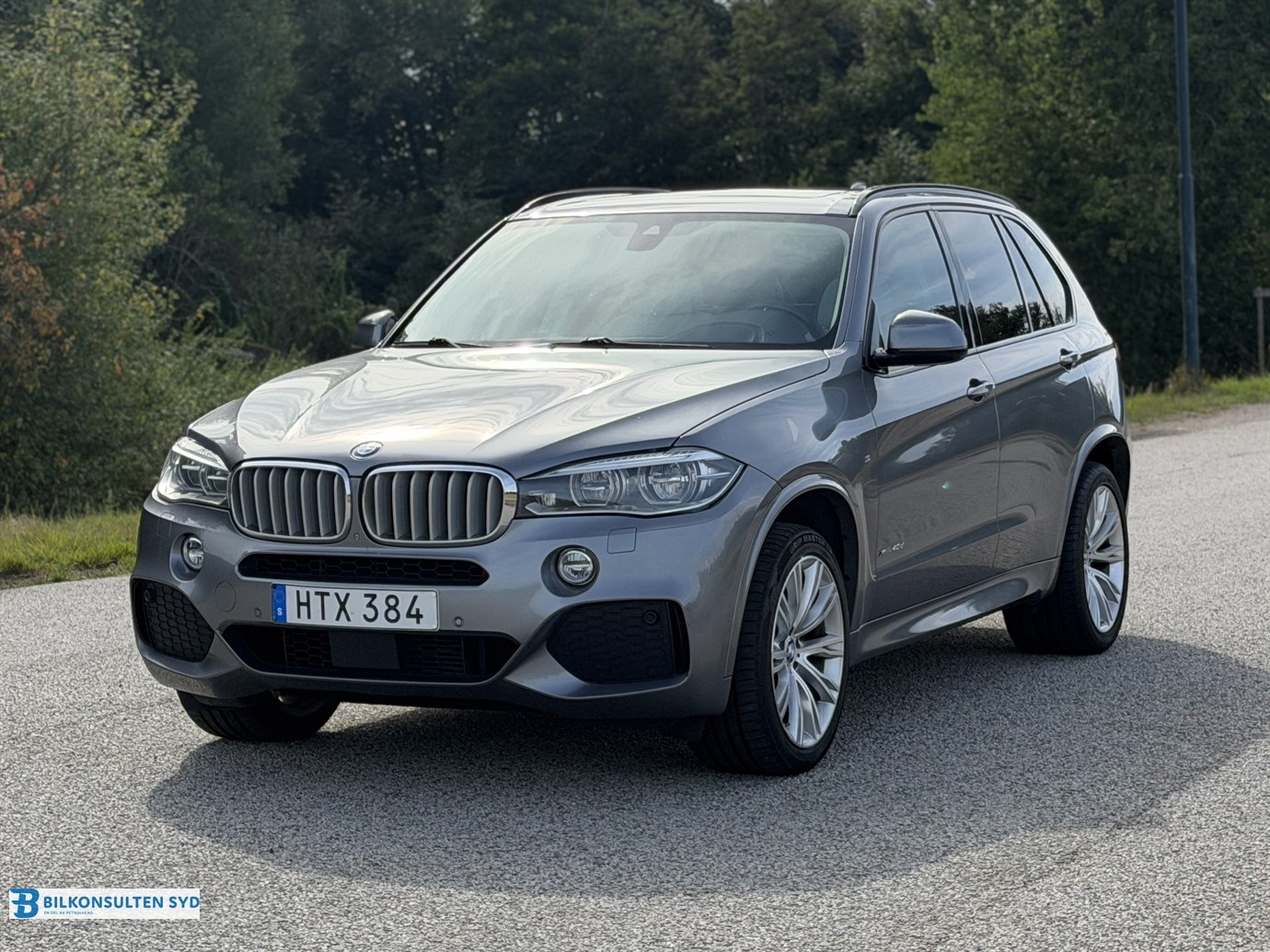 BMW X5 xDrive40d Steptronic 2015, bild 3/56