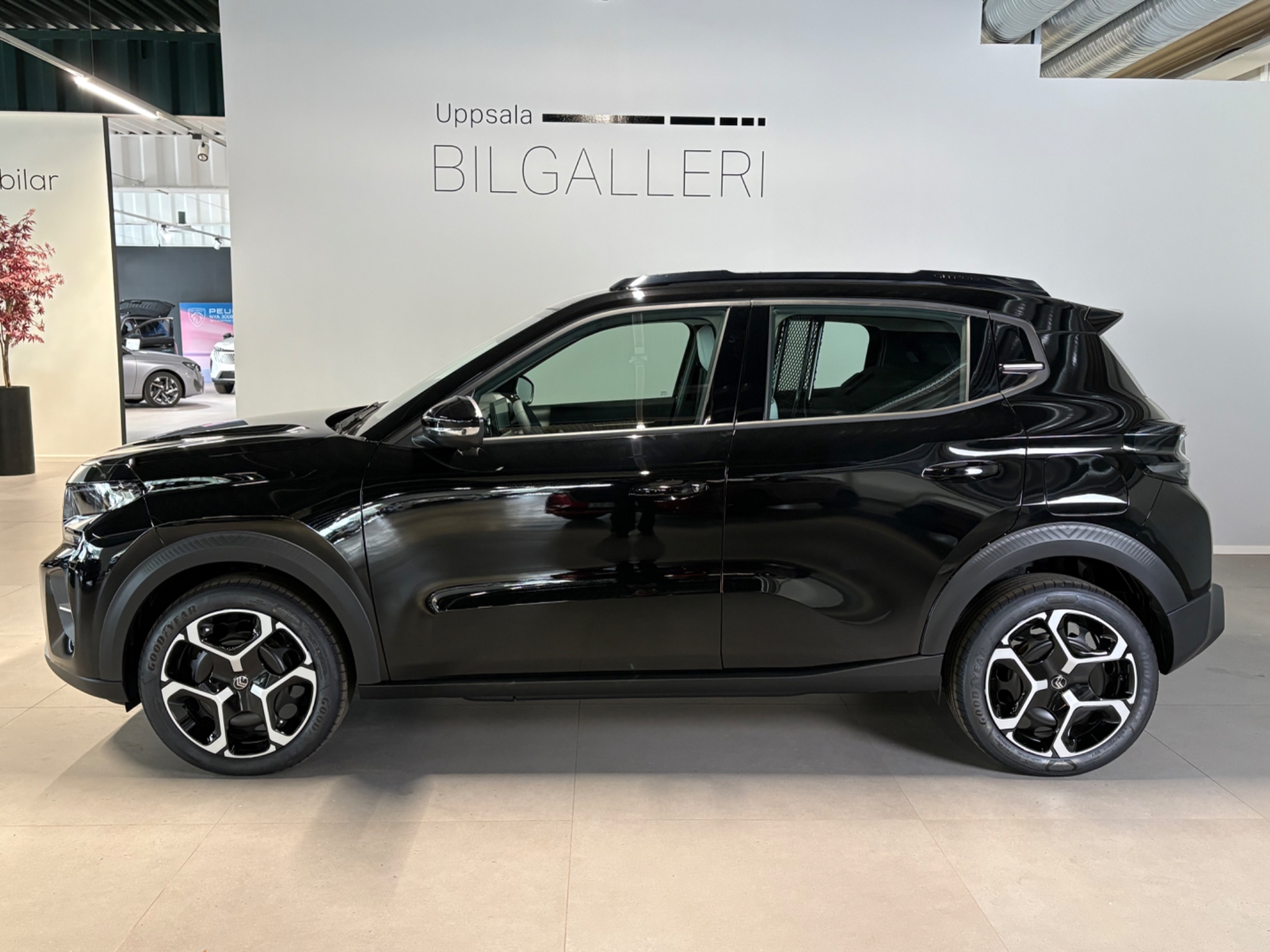Citroen E-C3 Cargo räckvidd 2026, bild 2/10