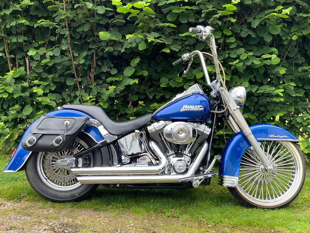 Harley-Davidson Deluxe Softail FLSTNI cholo 