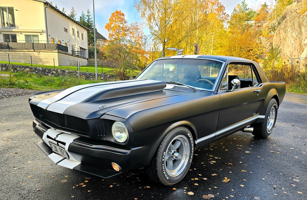 Ford Mustang Hardtop 302 Custom Shelbybakljus Fin