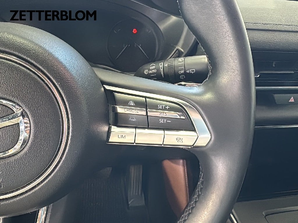 SUV Mazda MX-30 17 av 17