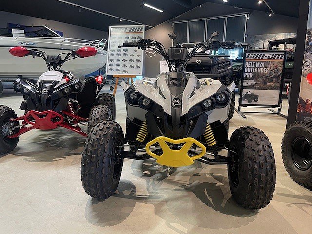 Can-Am Renegade STD 110 EFI